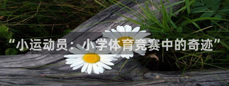k1体育下载链接