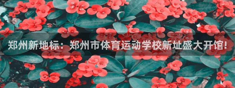 k1体育十年品牌值得信赖网址