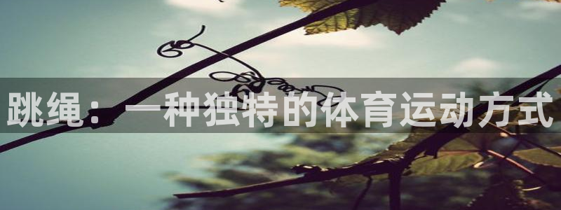 k1体育app官网登录入口
