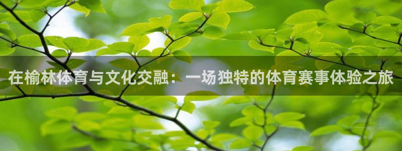 k1体育十年品牌