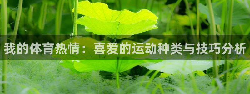 k1体育十年品牌