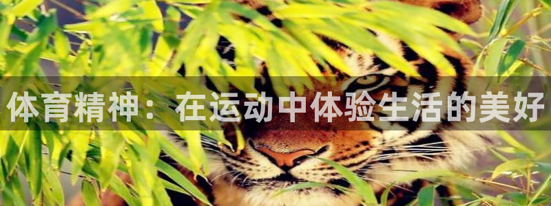 k1体育十年平台