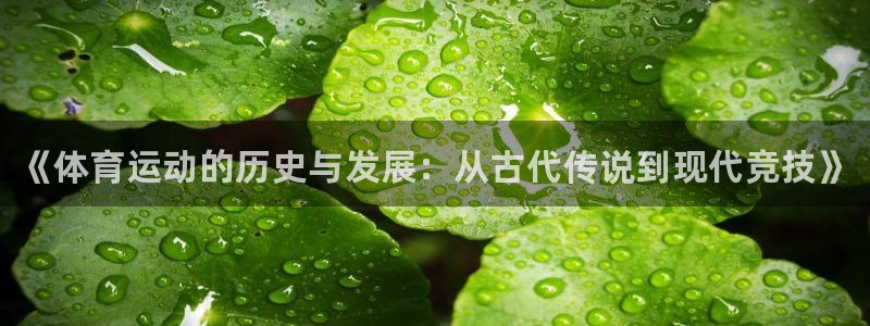 k1体育下载地址