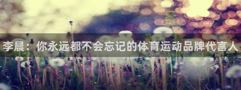 k1体育入口