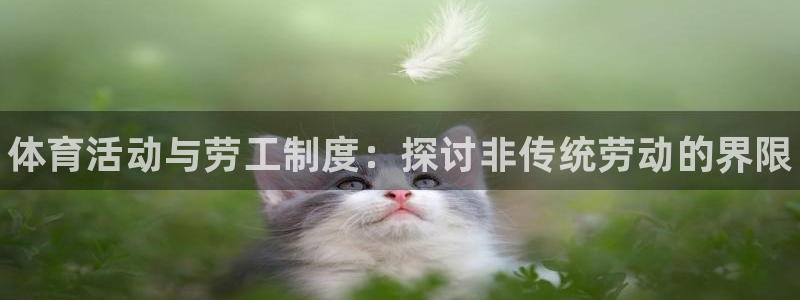 k1体育棋牌