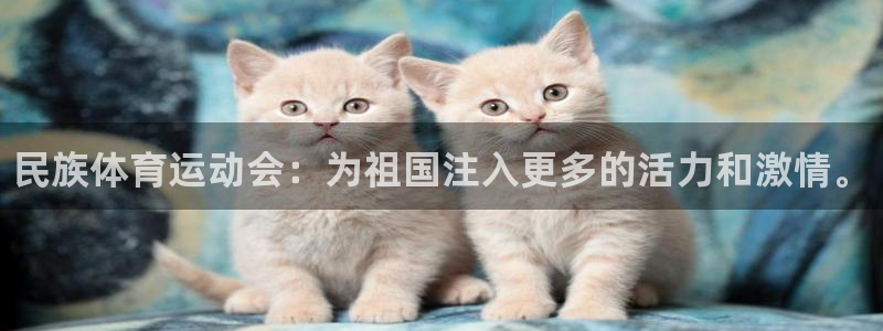 k1体育 十年品牌