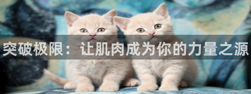 k1体育娱乐