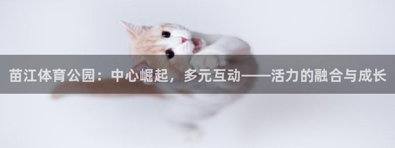 k1体育十年品牌