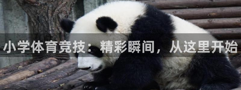 k1体育娱乐