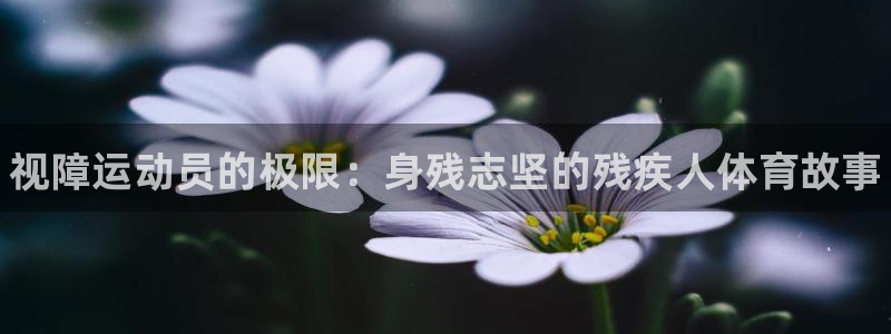 k1体育棋牌网址
