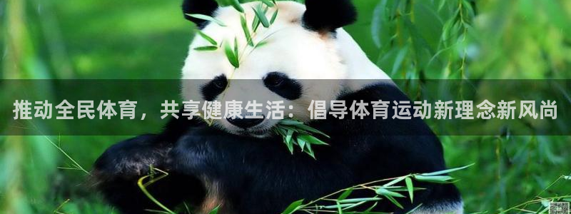 k1体育app下载链接
