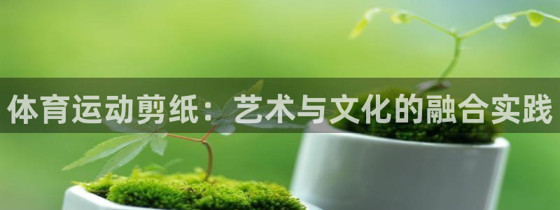 k1体育十年平台