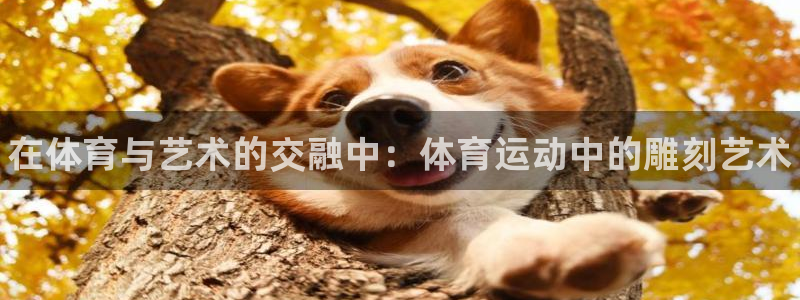 k1体育 十年品牌