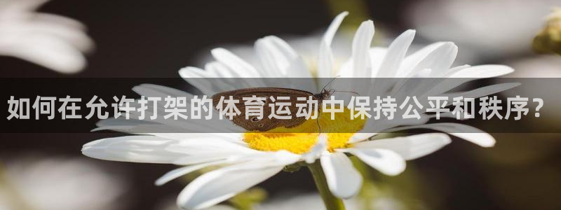 k1体育链接多少