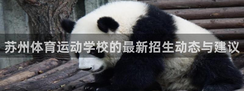 k1体育下载地址