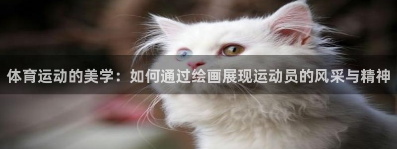 k1体育app下载