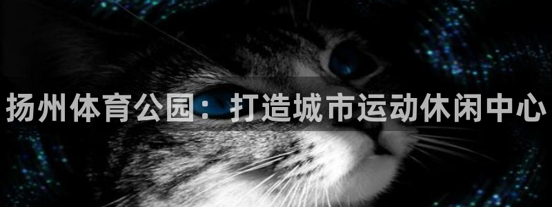 k1体育app下载链接