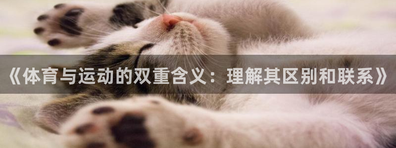 k1体育下载链接