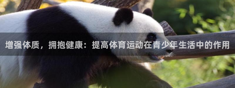 k1体育平台下载
