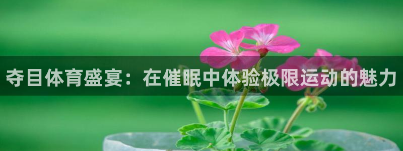 k1体育app官网登录入口